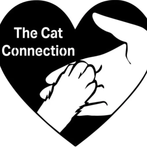 Cat Connection logo